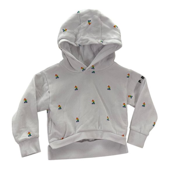 Disney Other - Disney Kids Pride Hoodie - Size XS 4